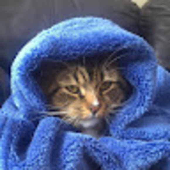 Meet your Posher, Haley - Picture 1 of 1